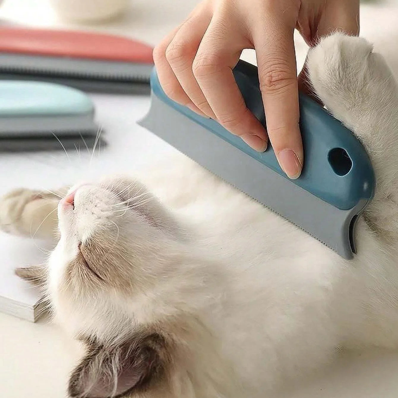 Reusable Pet Hair Remover for Furniture & Carpets | Easy Self-Cleaning Lint Roller